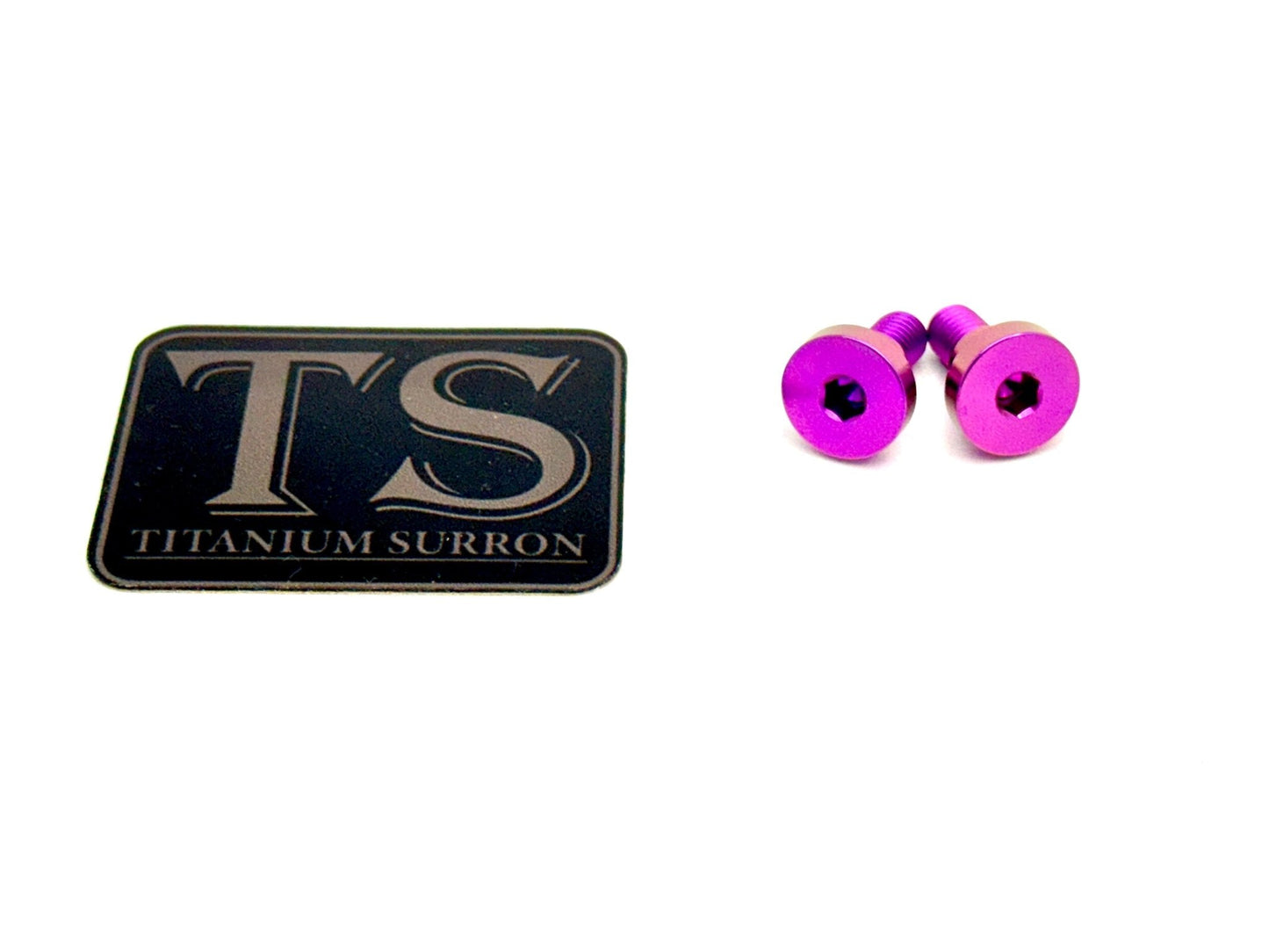 Titanium Battery Lid Bolts - E-Ride Pro - (Two Pcs)