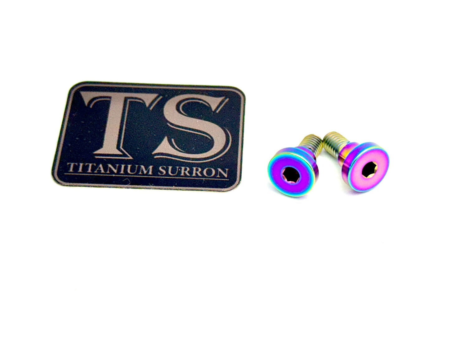 Titanium Battery Lid Bolts - E-Ride Pro - (Two Pcs)