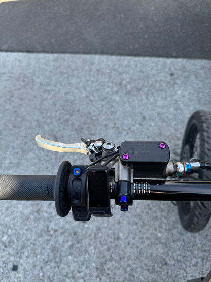 Titanium brake reservoir cap bolts