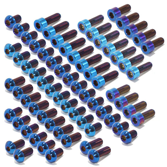 Ultra bee starter titanium bolt kit